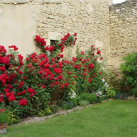 Le Figuier * Beauvoisin (Gard)