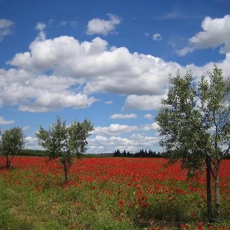Le Figuier Beauvoisin (Gard)