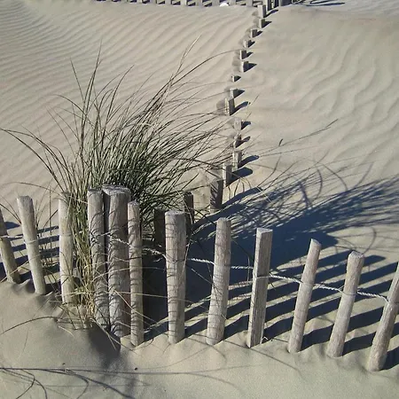 Le Figuier Beauvoisin (Gard)