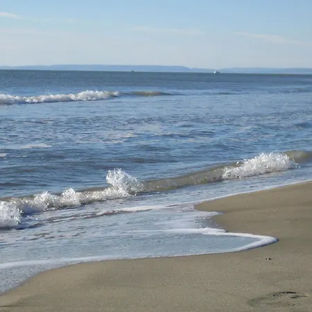 게스트하우스 Le Figuier *