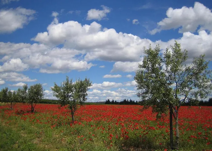 Le Figuier Beauvoisin (Gard)