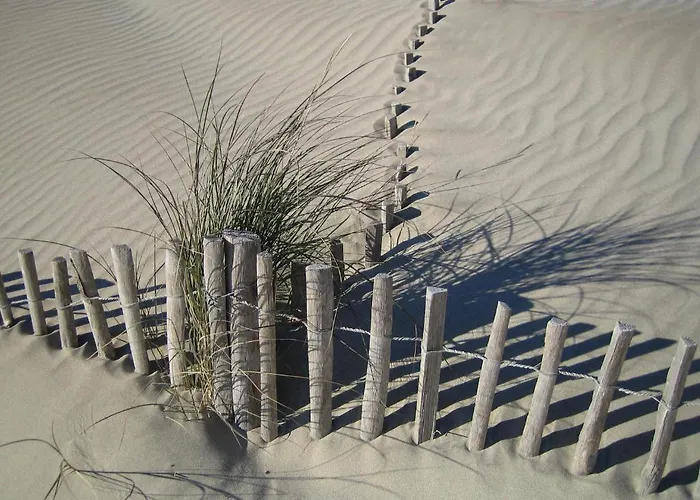 Le Figuier Beauvoisin (Gard)