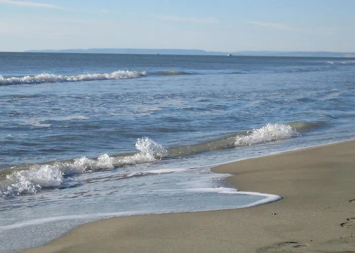 Gasthuis Le Figuier *